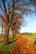 herbstlich