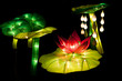 Festival Lotus Lanterns