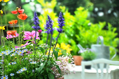 Foto: Sommer Flor Sommer Flor