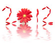 2012, gerberas rouges 2012, gerberas rouges