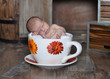 Newborn