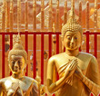 Buddha of thailand Buddha of thailand