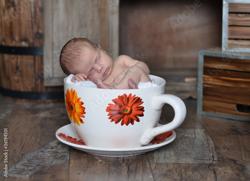 Photo: Newborn Newborn