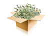 carton de billets