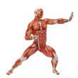 muscle man karate pose