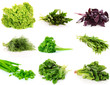 Photo: collage of culinary greens. isolated on white collage of culinary greens. isolated on white