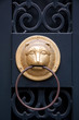 funny lion door decoration
