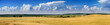 A summer on the farm A summer on the farm