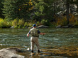 Fly Fisherman