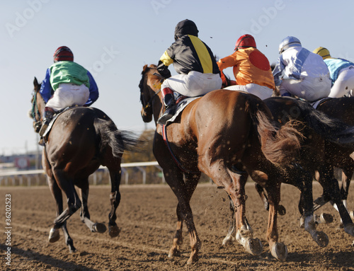 Photo: Closeup of racing horses starting a race Closeup of racing horses starting a race
