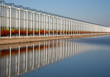 Greenhouse