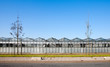 Greenhouse