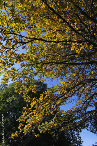 photo par Pierre-Jean DURIEU