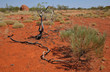 Boulder Australien