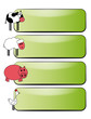 animal banner
