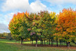 Autumn park