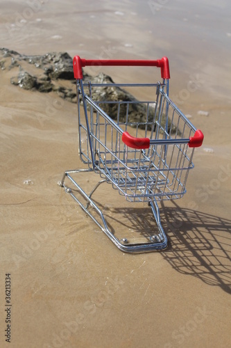 Photo: Retail cart stuck in the water, methaphor for business challenge Retail cart stuck in the water, methaphor for business challenge