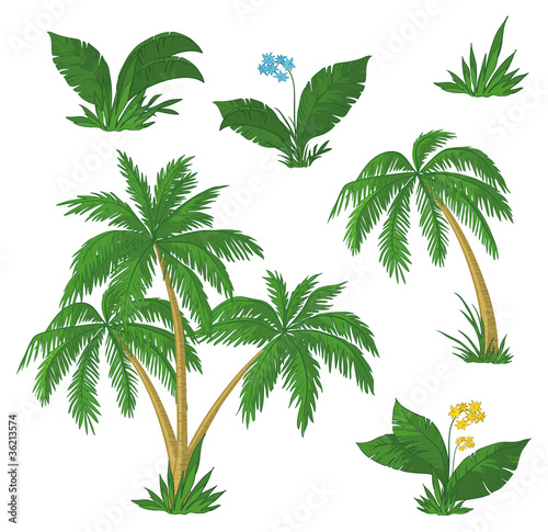 Vector: Palm trees, flowers and grass Palm trees, flowers and grass