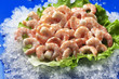 gamberetti