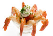 fresh shrimps