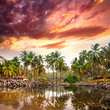 Photo en ligne au meilleur prix Tropical resort