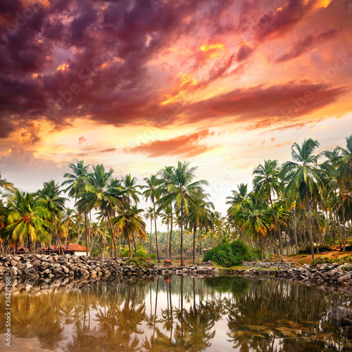 Photo: Tropical resort Tropical resort