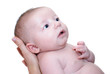 bébé