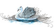 swan (series C)