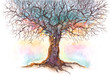 old tree (series C)