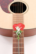 Rose and Guitar Rose and Guitar