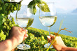 Two hands holding wineglases