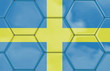 Details der Fotografie 3D - Soccer texture - Sweden