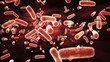 Abstract Microscopic Ecoli Bacteria. Abstract Microscopic Ecoli Bacteria.