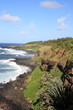 wilde Küste auf Mauritius