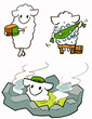 sheep-hot-sprong