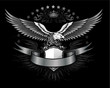 Spread winged eagle insignia