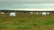 North farm.