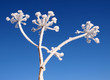 Winterimpression