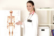 Anatomie