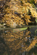 River in park