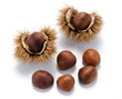 Castagne