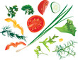 Set of colorful isolated vegetables - tomato, corn, cucumbe
