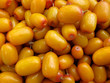 yellow sea-buckthorn berries yellow sea-buckthorn berries