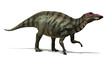 Shuangmiaosaurus Dinosaur