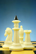 chess pieces on the board chess pieces on the board