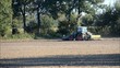Landwirtschaft