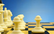 chess pieces on the board chess pieces on the board