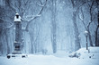 let it snow