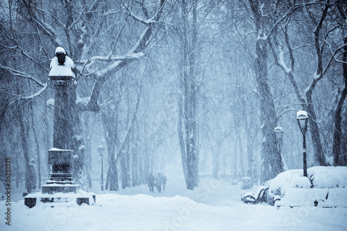 Foto: let it snow let it snow
