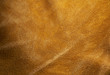 leather background